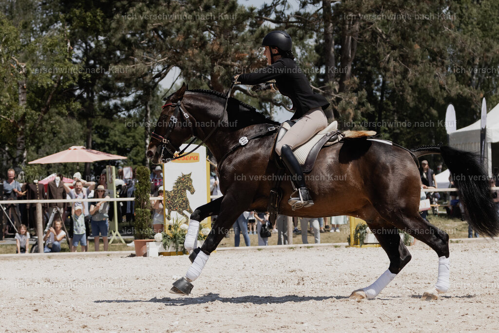 WE_SP_Stoib_330_PI2025_1986 | Pferd International München 2025