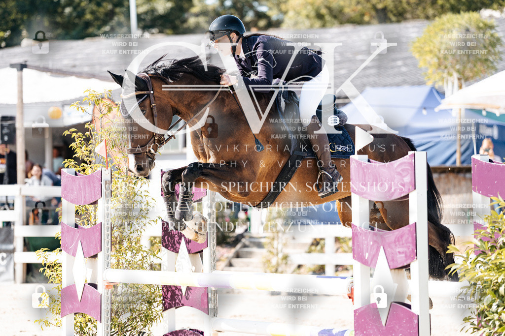 CK907824 | Turnierfotografie Pferdefotografie Trier Rheinland-Pfalz Pferdesport Reitsport Tierfotografie Sportfotografie Pferdevideo Pferdevideografie Equestrianvideography equestrianphotography  - Realisiert mit Pictrs.com