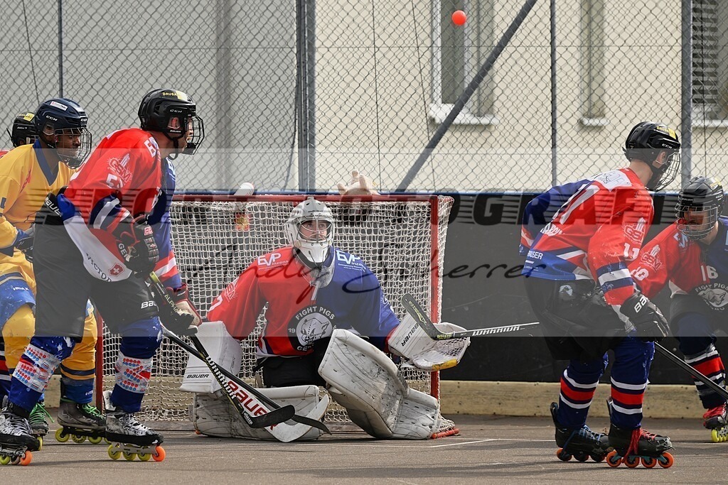 aaaaaDSC_2580 | Kaufen Sie Sportbilder im Onlineshop von Andy Scherrer Sportfotografie. Faszinierende Bilder von Sportevents aus der ganzen Schweiz. Fussball, Frauenfussball, Unihockey, Handball, Schwingen und weiteren Sportarten. - Realisiert mit Pictrs.com