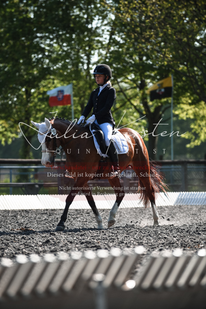 DSC_8727 | Pferde- und Turnierfotografie in Westsachsen. Pferdeportraits, Auftragszeichnungen und intuitive Kunst.