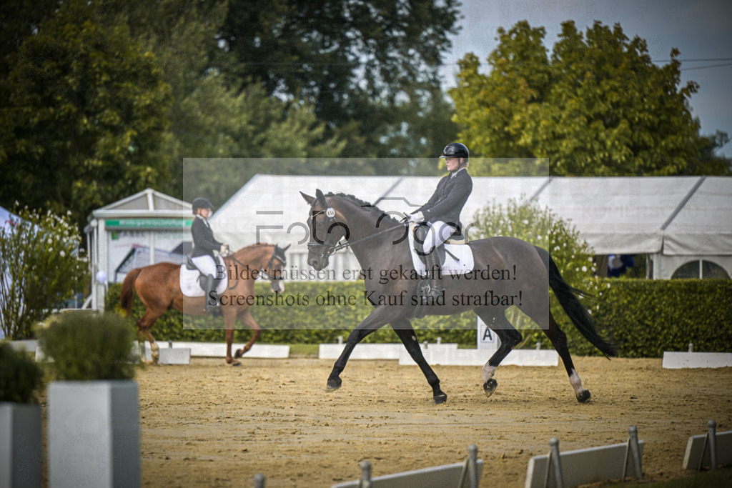 DOS_5301 | Entdecke hochwertige Reitturnierfotos von Foto Oger. Professionell, emotional und authentisch – jetzt Lieblingsmomente im Shop bestellen.Deutschlandweite Turnierfotografie. - Realisiert mit Pictrs.com
