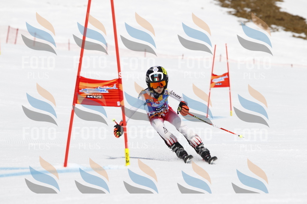 _U3G5474 | holidayphoto