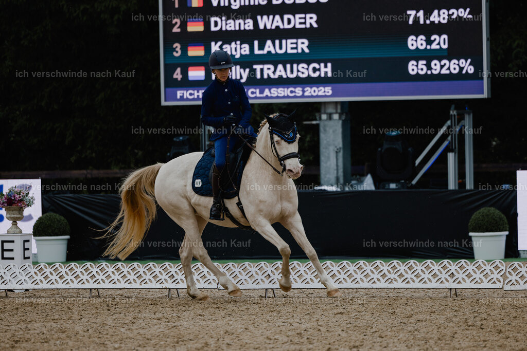 Nici11_FHC2025-25127 | working equitationturnier fotograf videograf stoibphotography marixx film working equitation deutschland reitsport turnierfotografie eventfotografie equestrian events