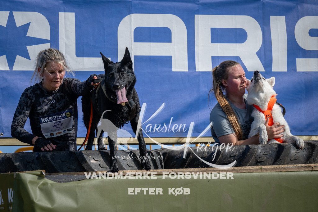 1101_ZZ90142 | kk-dogfotos