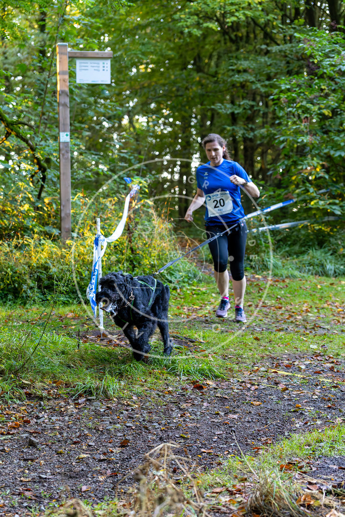 Pfotenfotografie_DV3A6443 | Hundefotografie, Tierfotograf, Pfotenfotografie, Fotoshooting Hund, Hunde Portrait, Hundesport, Hundeportraits, Heideshooting, Hunde, Sportfotograf, Hundefotograf, Turnierhundsport, THS,  - Realisiert mit Pictrs.com