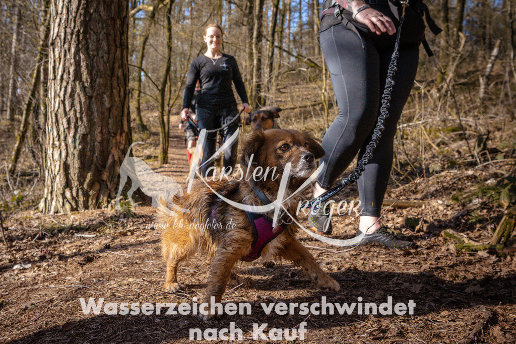 0914_ZZ96751 | kk-dogfotos