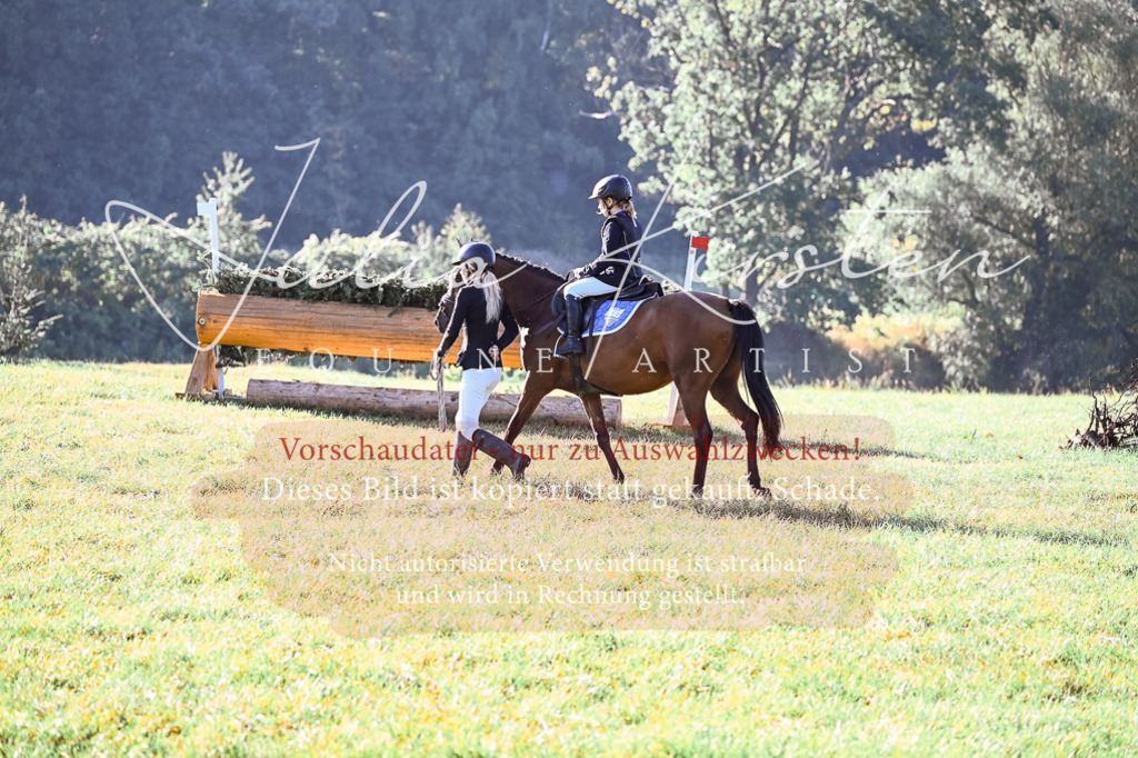 DSC_0220 | Pferde- und Turnierfotografie in Westsachsen. Pferdeportraits, Auftragszeichnungen und intuitive Kunst.