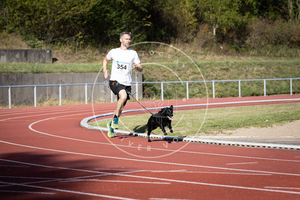 Pfotenfotografie_DV3A9716 | Hundefotografie, Tierfotograf, Pfotenfotografie, Fotoshooting Hund, Hunde Portrait, Hundesport, Hundeportraits, Heideshooting, Hunde, Sportfotograf, Hundefotograf, Turnierhundsport, THS,  - Realisiert mit Pictrs.com
