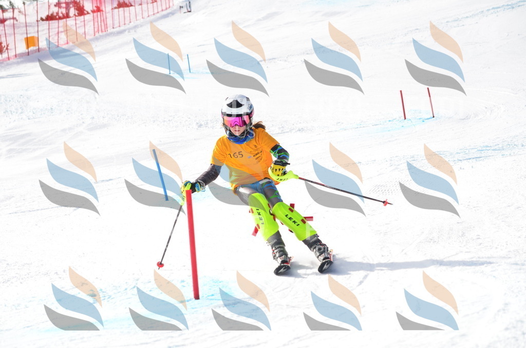 C7858 | holidayphoto