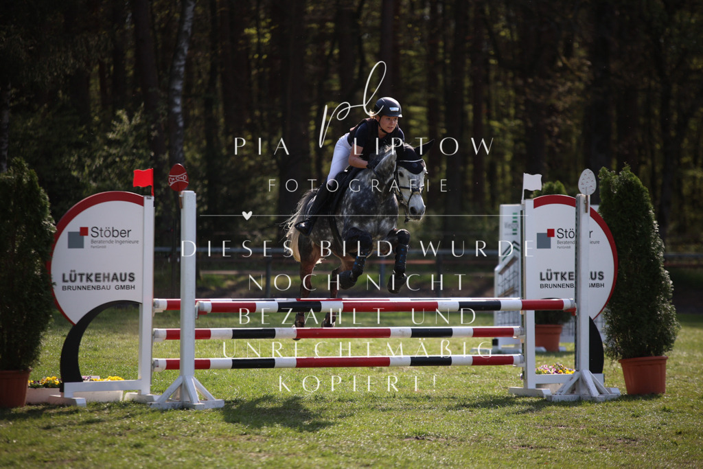 IMGT9138 | pl-fotografie