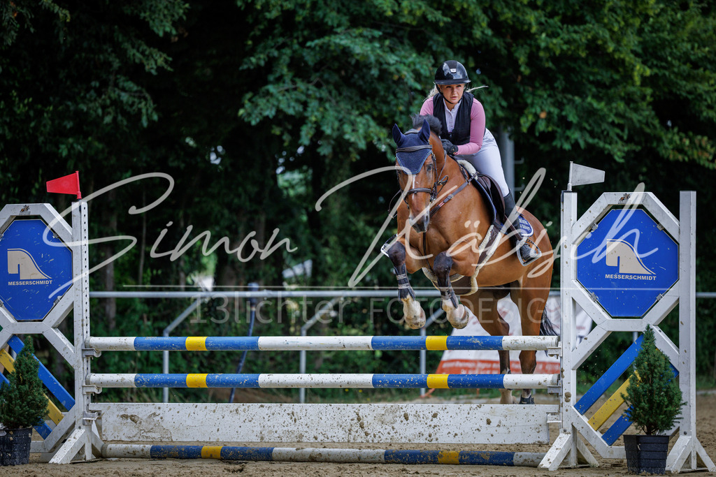 20260705-_3LI5358 | Tierfotografie Pferde, Hunde, Katzen, Haustiere.
Turnierfotografie Reitturniere, Reiten, Springreiten, Dressur in Hanau, dem Main-Kinzig-Kreis und dem Rhein-Main- Gebiet um Frankfurt
