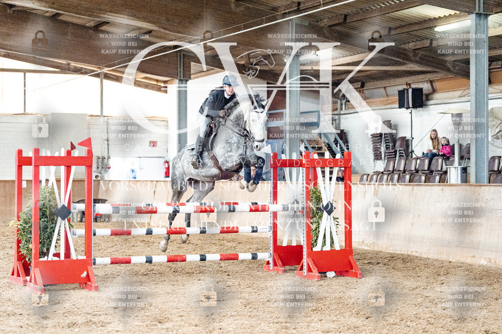 CK906325 | Turnierfotografie Pferdefotografie Trier Rheinland-Pfalz Pferdesport Reitsport Tierfotografie Sportfotografie Pferdevideo Pferdevideografie Equestrianvideography equestrianphotography  - Realisiert mit Pictrs.com
