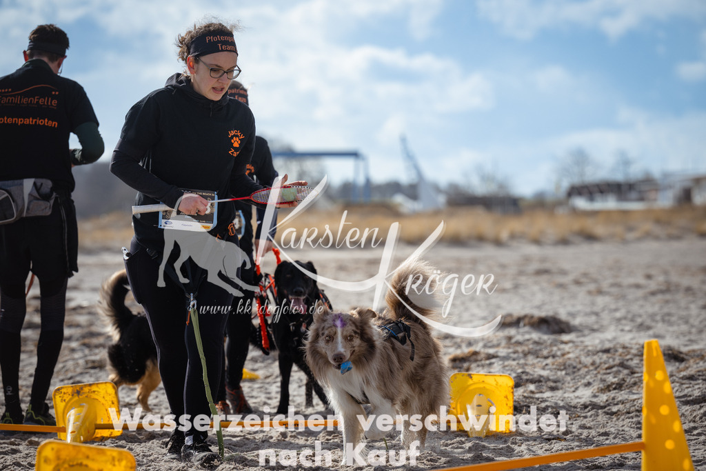 1319_ZZ91382 | kk-dogfotos