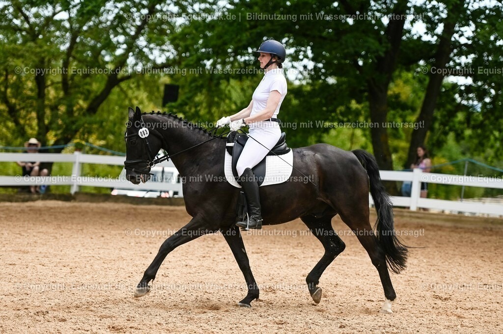 20230715_05_Dressurprüfung Kl.A++_0268 | equistock