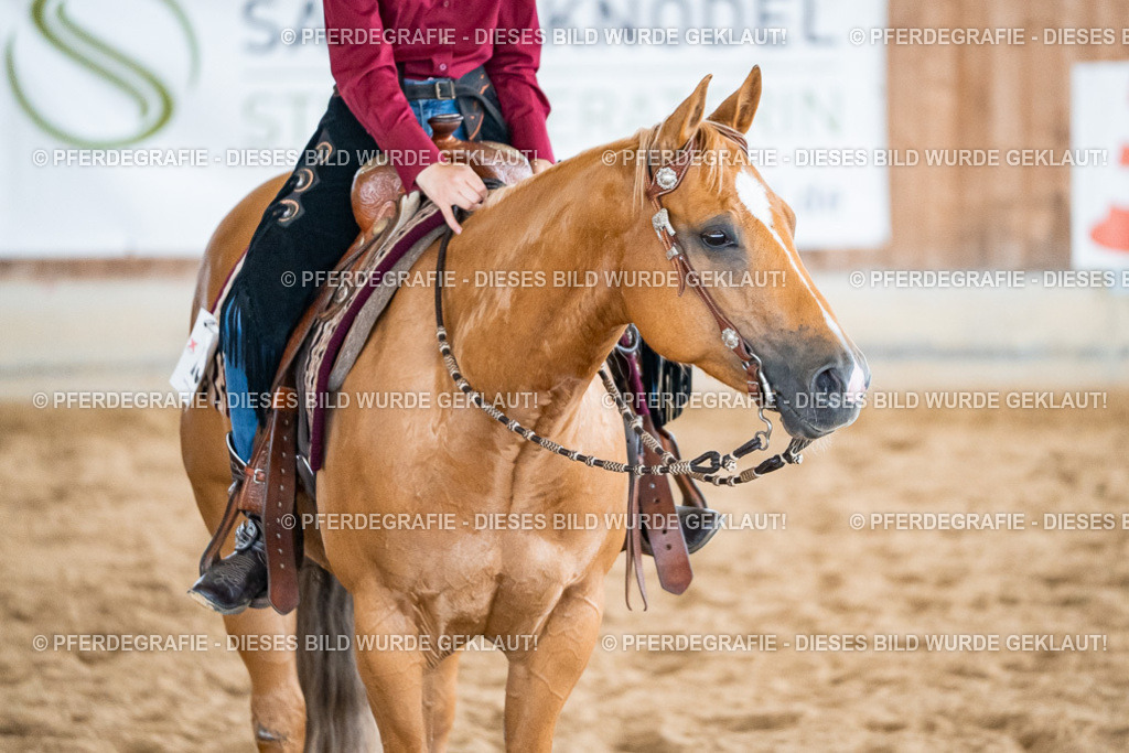 DSC01383 | Pferdegrafie