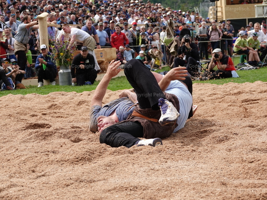 DSC07226 | Schwingen - Realisiert mit Pictrs.com