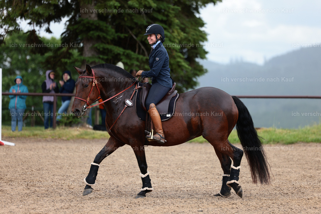 KlasseL_Stoibphotography_CAM23322.JPG | working equitationturnier fotograf videograf stoibphotography marixx film working equitation deutschland reitsport turnierfotografie eventfotografie equestrian events