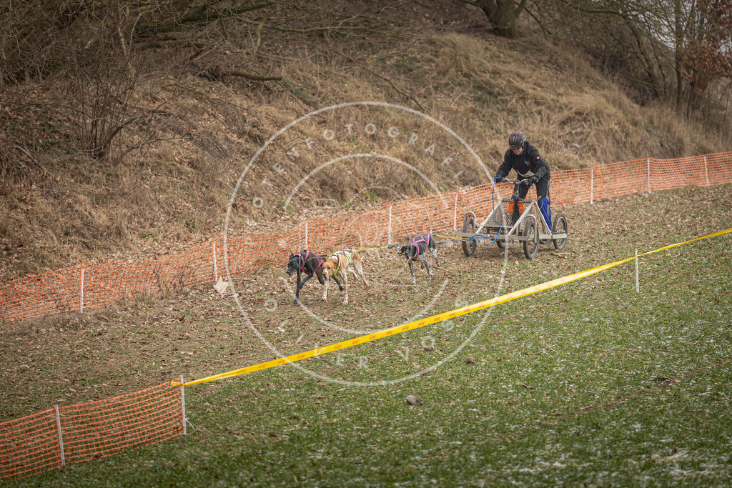 Pfotenfotografie_DV3A8179 | Hundefotografie, Tierfotograf, Pfotenfotografie, Fotoshooting Hund, Hunde Portrait, Hundesport, Hundeportraits, Heideshooting, Hunde, Sportfotograf, Hundefotograf, Turnierhundsport, THS,  - Realisiert mit Pictrs.com
