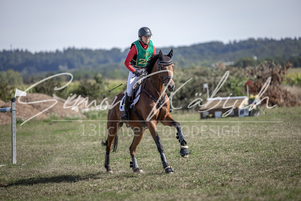 20250907-_3LI2629 | Tierfotografie Pferde, Hunde, Katzen, Haustiere.
Turnierfotografie Reitturniere, Reiten, Springreiten, Dressur in Hanau, dem Main-Kinzig-Kreis und dem Rhein-Main- Gebiet um Frankfurt