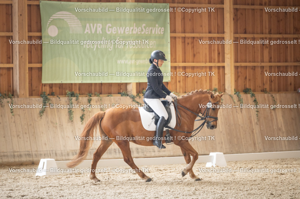 _D5A5552 | Emotionale Pferde- & People-Fotografie rund um Heidelberg, Leimen & Umgebung. Natürliche Fotos von Pferd, Mensch & Familie. Jetzt Termin sichern!