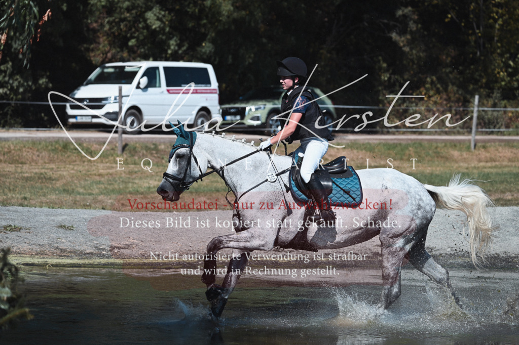 DSC_8468 | Pferde- und Turnierfotografie in Westsachsen. Pferdeportraits, Auftragszeichnungen und intuitive Kunst.