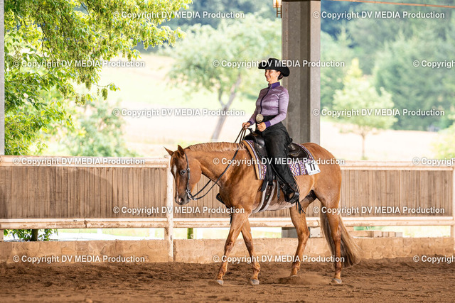 Erbach Tag 1-146 | dv-media-shop - Realized with Pictrs.com