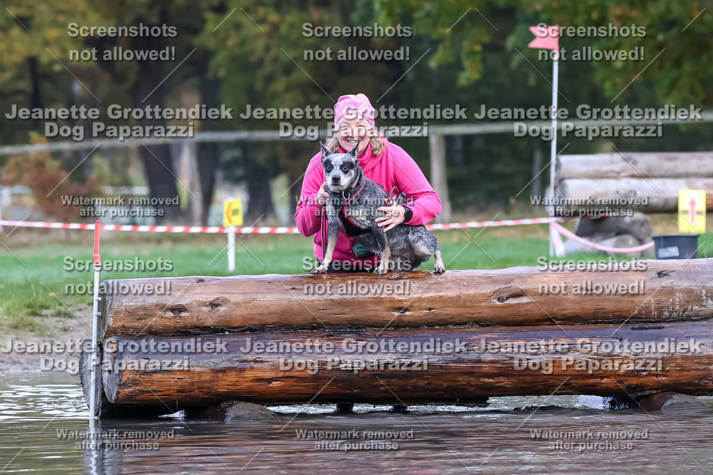 Dog Paparazzi - Strongdog 10-25-6533 | Dog Paparazzi Jeanette Grottendiek Fotografie & Videografie - Realisiert mit Pictrs.com