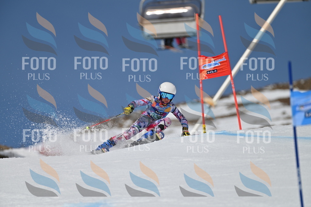 BGV_6638 | holidayphoto