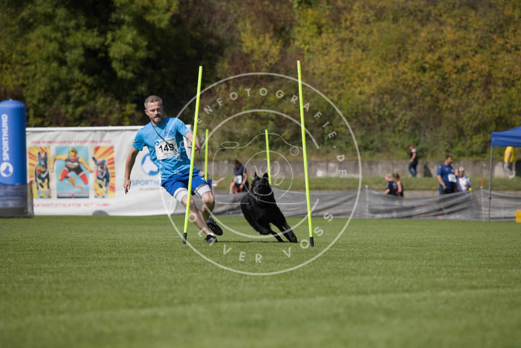 0L8A3129 | Hundefotografie, Tierfotograf, Pfotenfotografie, Fotoshooting Hund, Hunde Portrait, Hundesport, Hundeportraits, Heideshooting, Hunde, Sportfotograf, Hundefotograf, Turnierhundsport, THS,  - Realisiert mit Pictrs.com