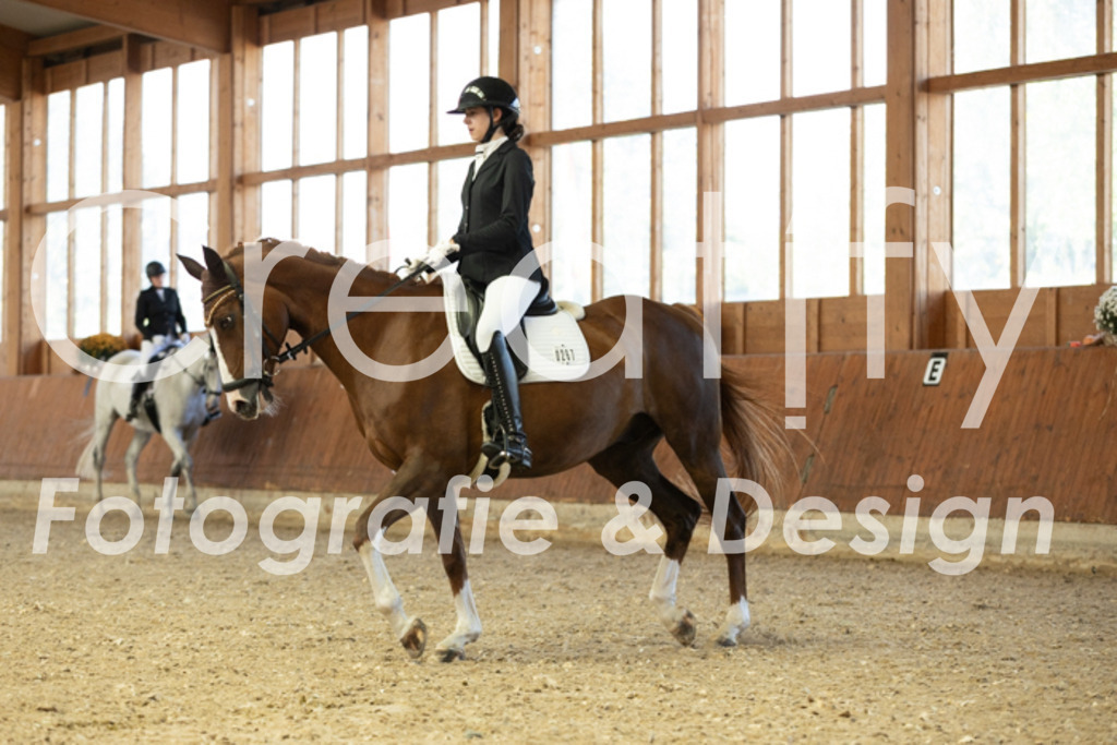 IMG_5220 | Creatify Fotografie