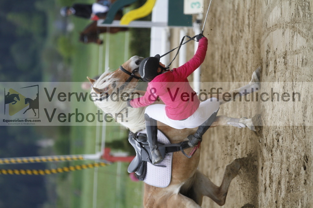 _MG_6738 | equestrian-live-com