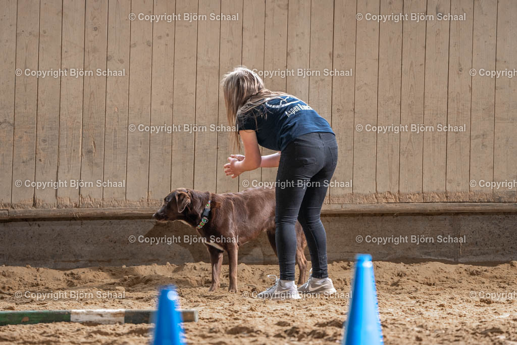 SBS04593 | BS-foto