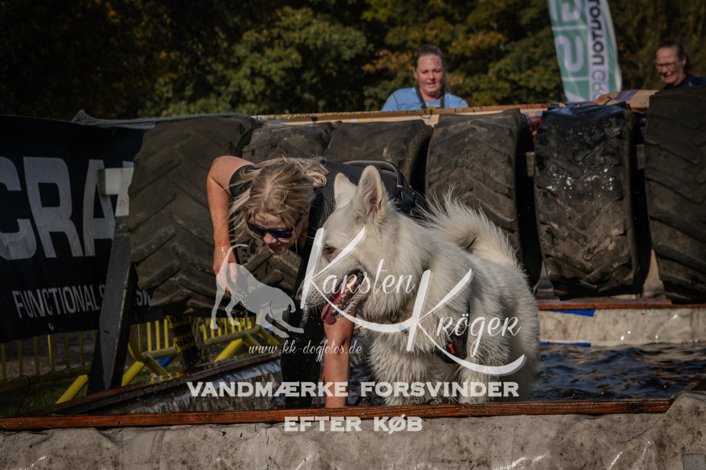 1401_ZZ93803 | kk-dogfotos