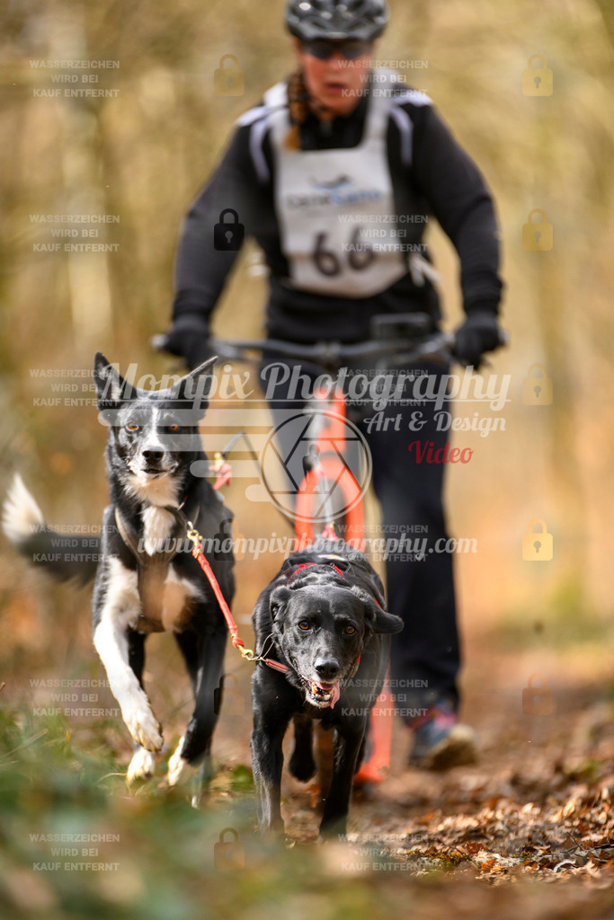 MompixPhotography_ReiatRennen2024_SO_DS2-38 | PayLife
