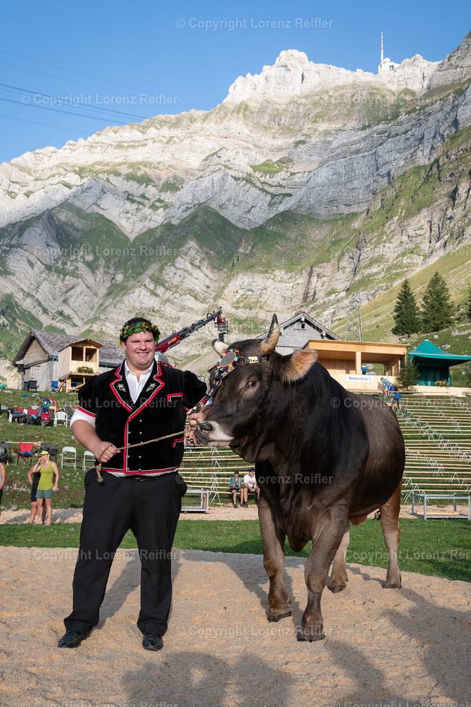 Schwingen -  Schwägalpschwinget 2023 | Schwägalp, 20.8.23, Schwingen - Schwägalpschwinget.