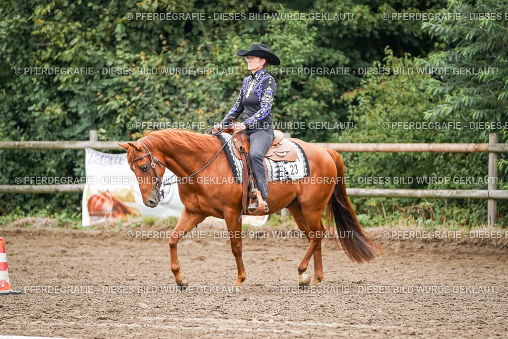 DSC03674 | Pferdegrafie