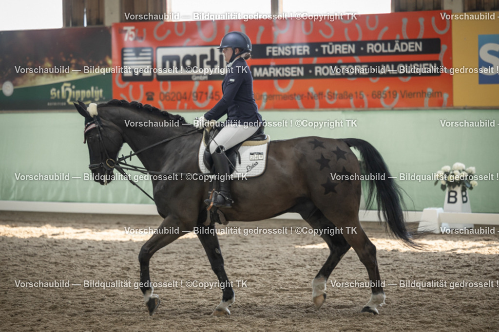 _D5A5804 | Emotionale Pferde- & People-Fotografie rund um Heidelberg, Leimen & Umgebung. Natürliche Fotos von Pferd, Mensch & Familie. Jetzt Termin sichern!