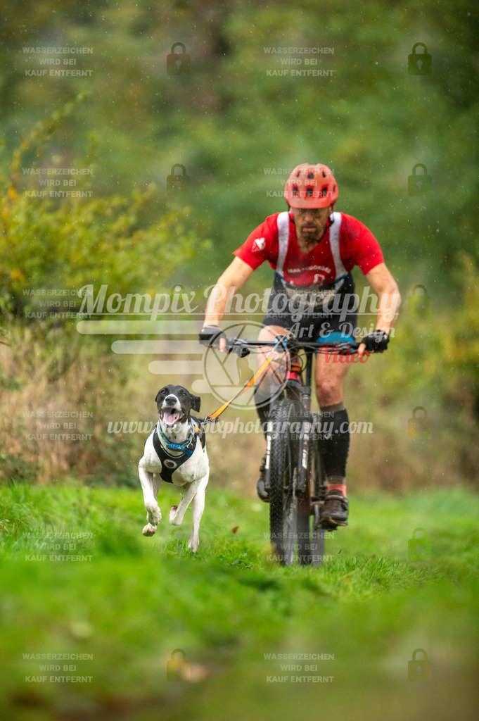 TSB_2023_E6_Bike-3 | PayLife