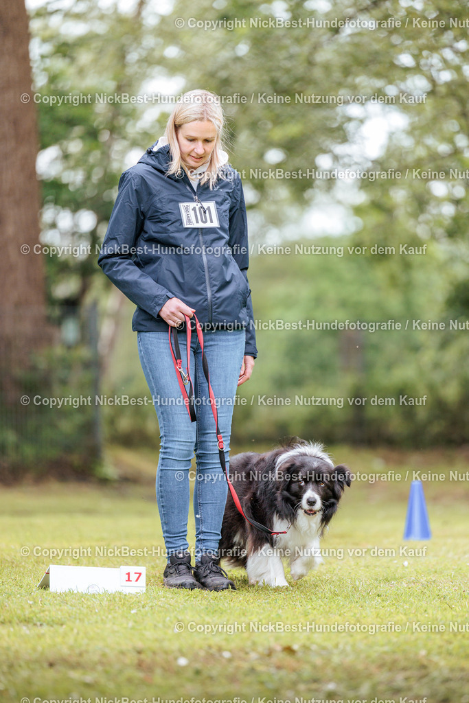 RO-Blumenthal-2026-Nickbest-Hundefotografie-5205 | Dein Hund! Dein Moment! Deine Erinnerungen! Hundefotografie in Bremen Blumenthal. Ich fange die besonderen Momente deines Vierbeiners ein – ob Indoor mit Blitzanlage oder in der freien Natur. Sicher dir dein Moment und dein Termin für eure Erinnerungen.