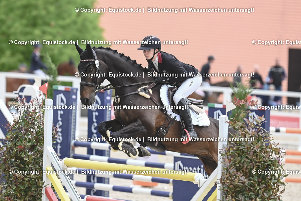 20230514_CCI4_Springen_0269 | equistock