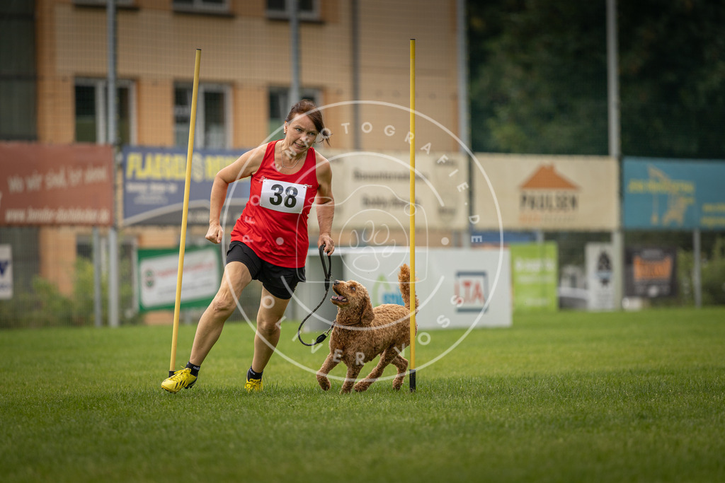 Pfotenfotografie_DV3A2762 | Hundefotografie, Tierfotograf, Pfotenfotografie, Fotoshooting Hund, Hunde Portrait, Hundesport, Hundeportraits, Heideshooting, Hunde, Sportfotograf, Hundefotograf, Turnierhundsport, THS,  - Realisiert mit Pictrs.com