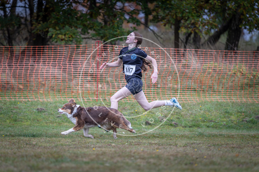 Pfotenfotografie_DV3A0500 | Hundefotografie, Tierfotograf, Pfotenfotografie, Fotoshooting Hund, Hunde Portrait, Hundesport, Hundeportraits, Heideshooting, Hunde, Sportfotograf, Hundefotograf, Turnierhundsport, THS,  - Realisiert mit Pictrs.com
