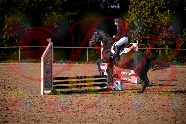 2026_10_03_Siefer-Hof_154857_Z81_67250791 | Professionelle Reitsport-, Turnier- und Eventfotografie von Robert Broda. Galerien mit ausgewählten und bearbeiteten Bildern direkt online ansehen und bestellen.