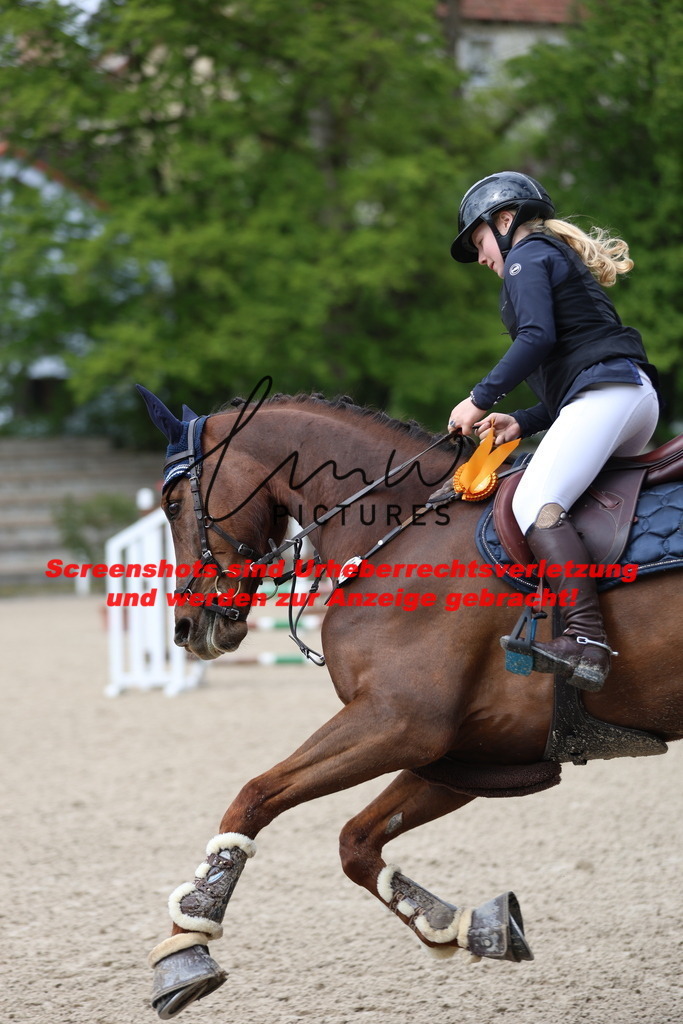 A40A1634 | lmwpictures - Realisiert mit Pictrs.com