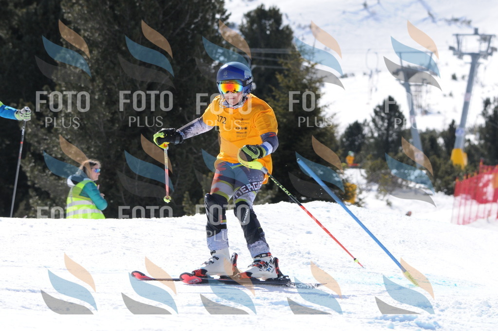 C8981 | holidayphoto