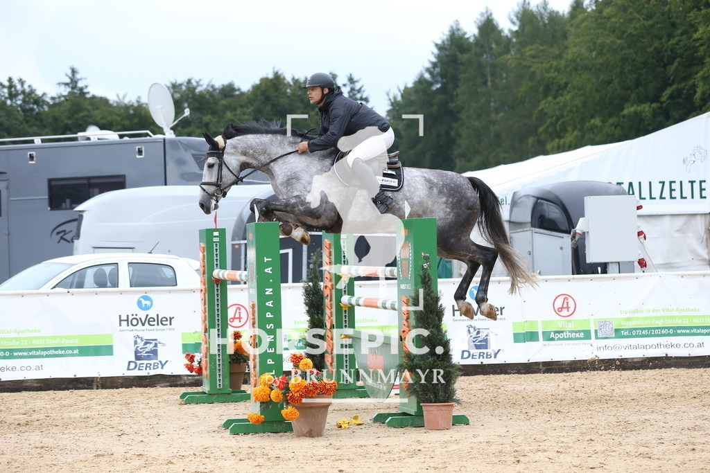 DL2Q6951 | Willkommen bei Brunnmayr - Design & Fotografie – Ihrem Spezialisten für Reitturniere und Pferdeveranstaltungen in Oberösterreich, Salzburg und Bayern! Seit über 17 Jahren sind wir leidenschaftlich dabei.