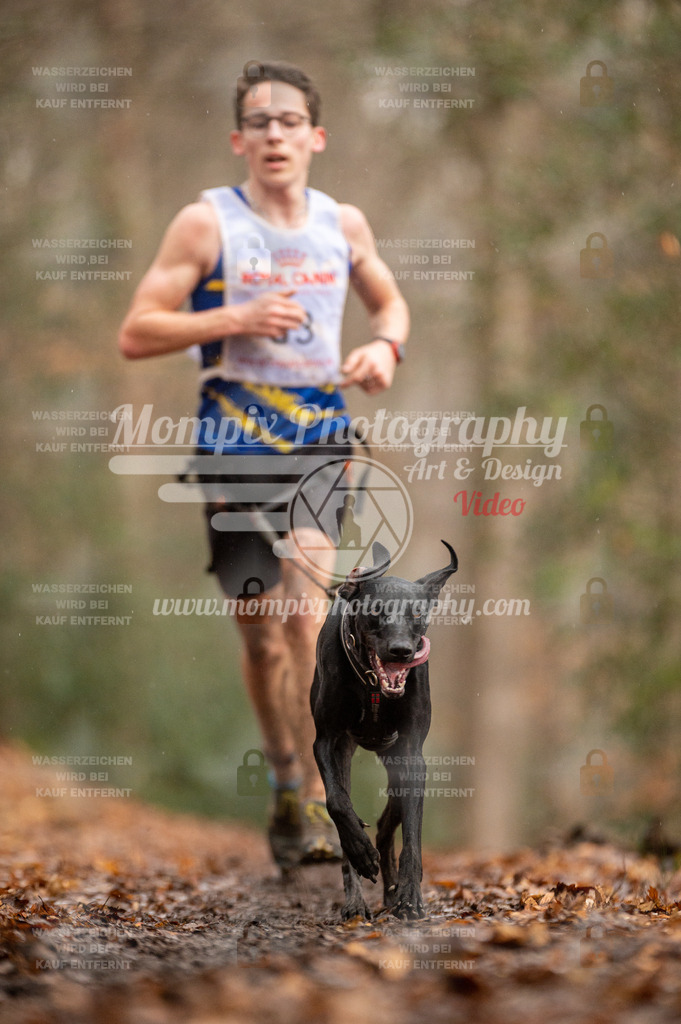 SPA_2023_DIM_CCL-60 | PayLife