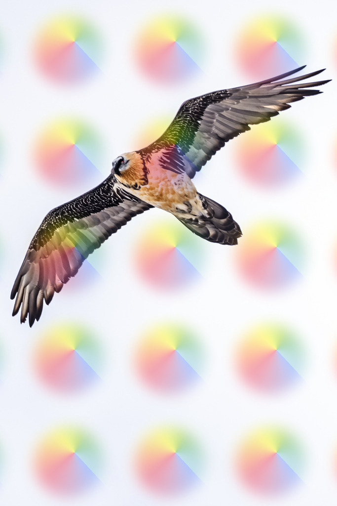 1M5A2636 | FineArtPrint, Hahnemühle, FeeGalerie, Fee Galerie, Fotokunst, Fotografie, Canonphotography, Bergfoto, Matterhorn, Rimpfischhorn, Allalinhorn, Saas-Fee, Wallis, Valais, Switzerland, Bergfotografie