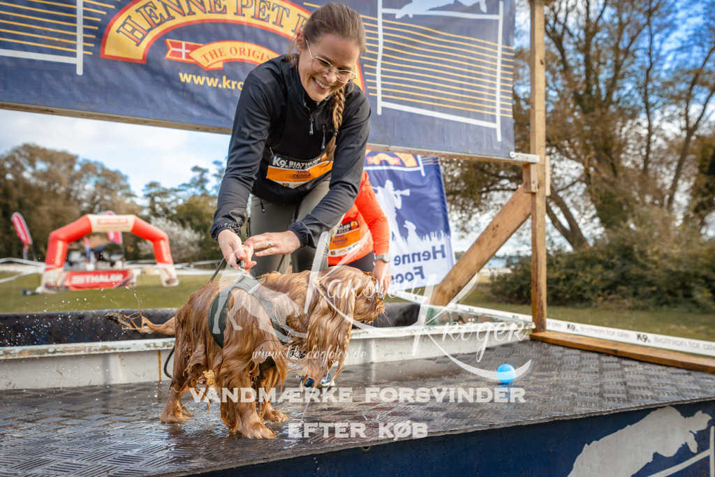 1527_ZZ96805 | kk-dogfotos