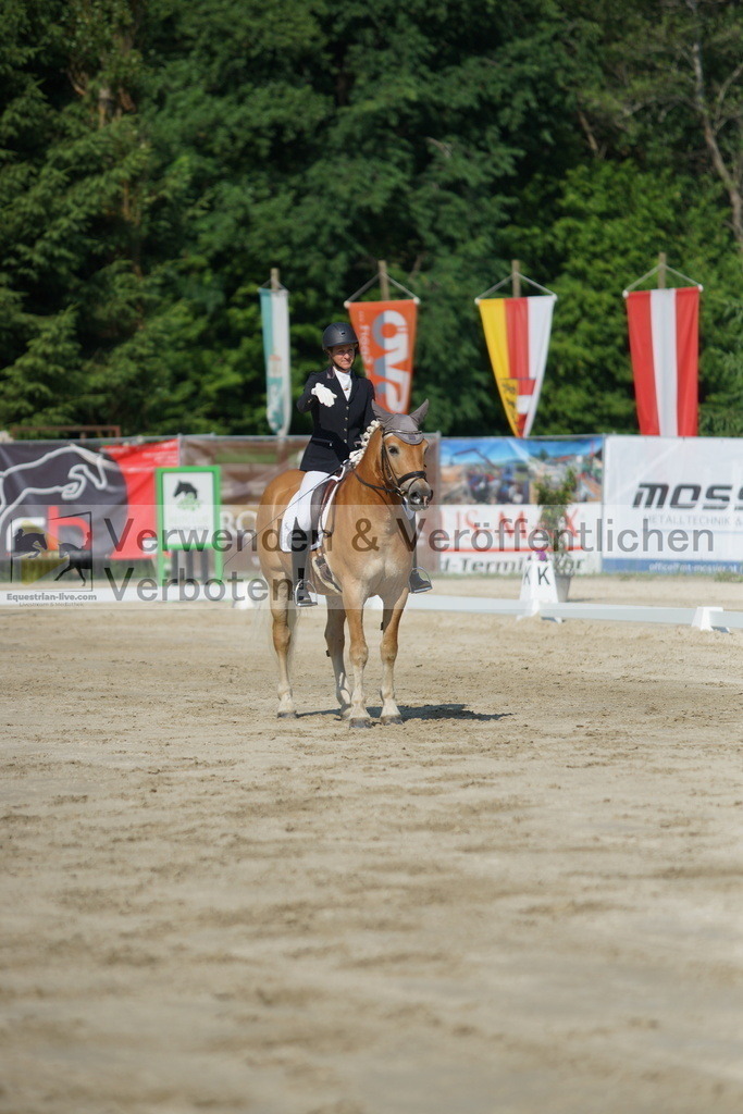 DSC01352 | equestrian-live-com